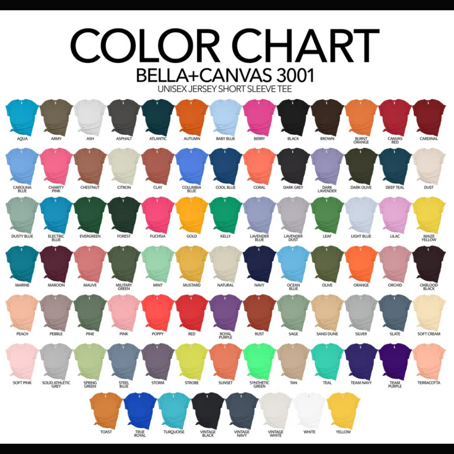 100 Days School Mascot